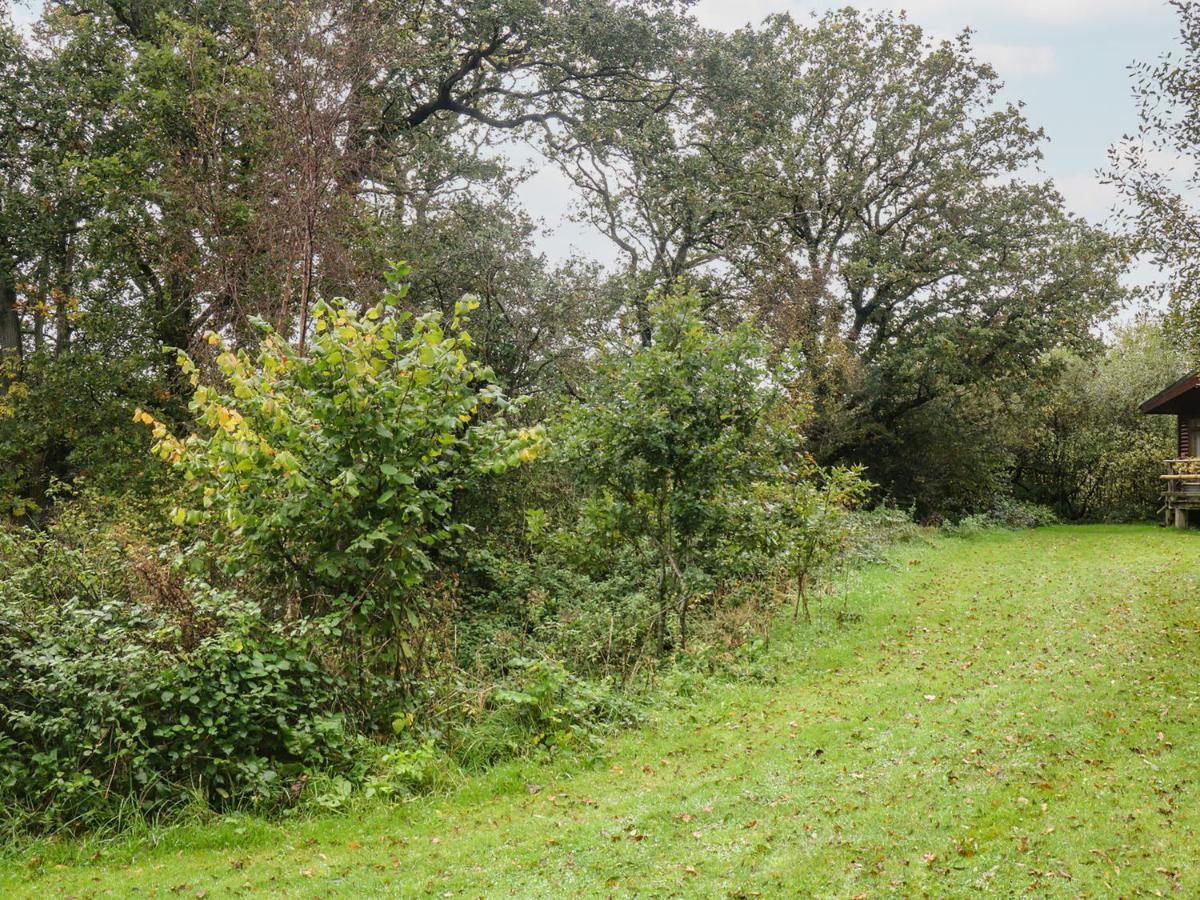 Winkleigh Braeburn Lodge מראה חיצוני תמונה